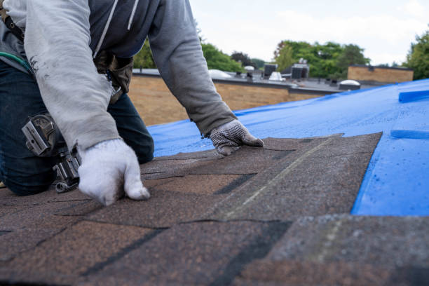 Best Commercial Roofing Services  in Haven, KS